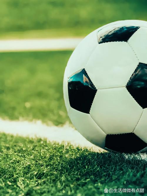 业余球队教练分析工具